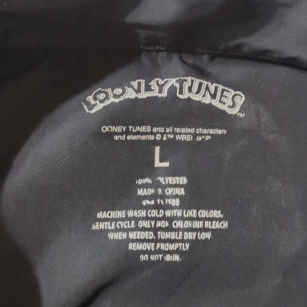 Looney tunes windbreaker size Large Juniors